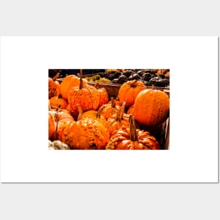 Fall Pumpkins 1 Posters and Art
